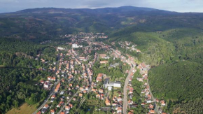 Urlaub beim Fürst